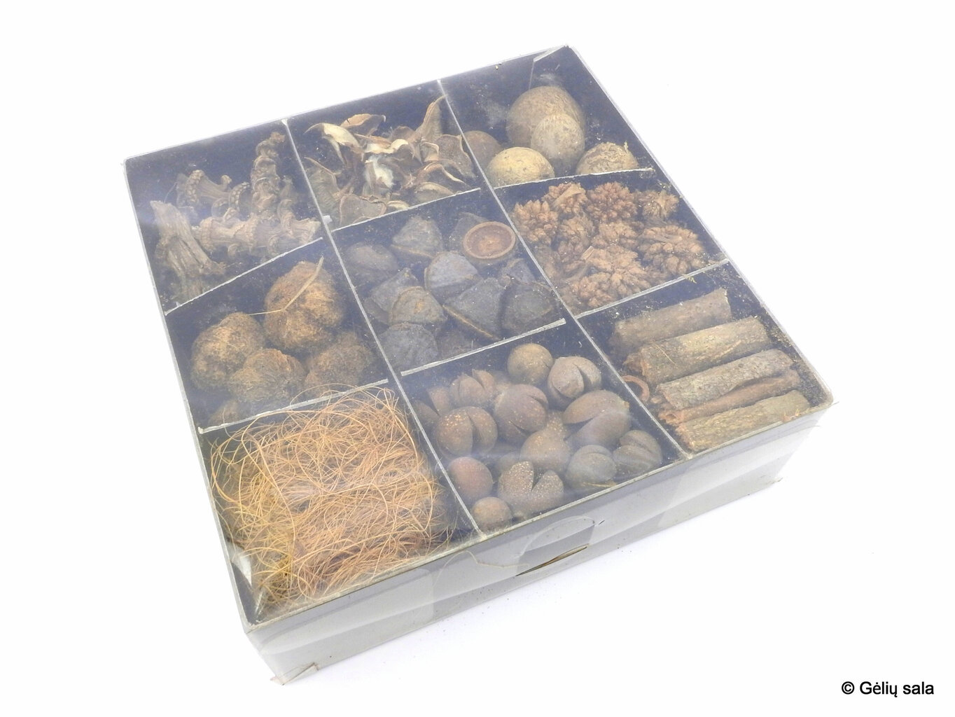 Žāvētu augu komplekts kastē, dabīgs cena un informācija | Ziemassvētku dekorācijas | 220.lv