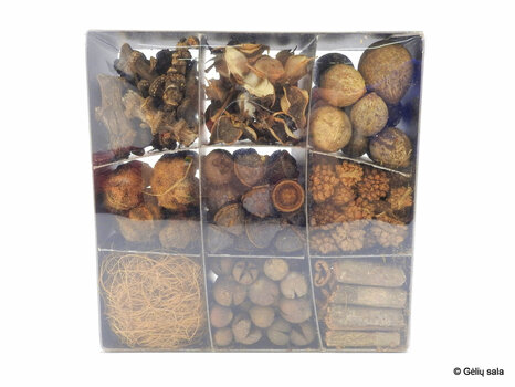 Набор сушеных растений в коробке натуральный цена и информация | Рождественские украшения | 220.lv