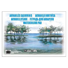 Akvareļu burtnīca SM-LT Gold, A4, 200 g/m2, 20 lapas cena un informācija | Burtnīcas un papīra preces | 220.lv