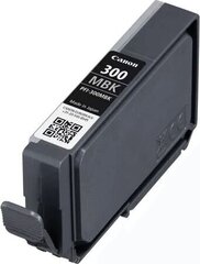 Canon 4192C001, черный цена и информация | Картриджи для струйных принтеров | 220.lv