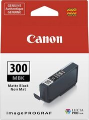Canon 4192C001, melns цена и информация | Картриджи для струйных принтеров | 220.lv