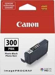 Canon 4193C001, черный цена и информация | Картриджи для струйных принтеров | 220.lv