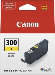 Canon 4196C001, желтый цена и информация | Картриджи для струйных принтеров | 220.lv