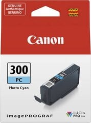 Canon 4197C001, синий цена и информация | Картриджи для струйных принтеров | 220.lv
