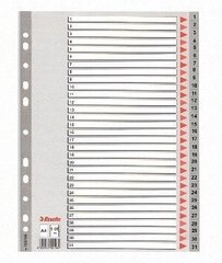 Разделительные пластиковые листы Esselte, 1-31, монохромные, A4 цена и информация | Тетради и бумажные товары | 220.lv