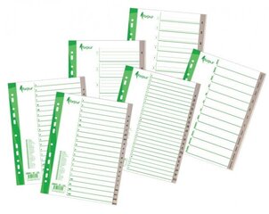No plastmasas izgatavots sadalītājs dokumentiem FORPUS, 1-12, vienkrāsains, A4 cena un informācija | Burtnīcas un papīra preces | 220.lv