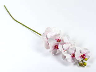 Искусственный цветок, ветка орхидеи, белый цена и информация | Искусственные цветы | 220.lv
