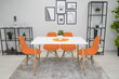 Krēsls Osa, oranžs cena un informācija | Virtuves un ēdamistabas krēsli | 220.lv