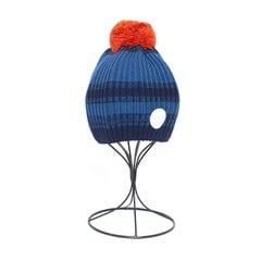 Зимняя шапка Reima для мальчиков, синяя цена и информация | Зимняя одежда для детей | 220.lv