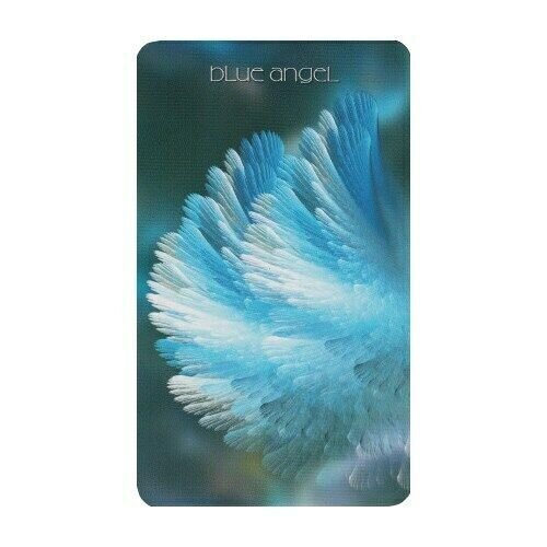 Taro kārtis Healing Light and Angel Cards cena un informācija | Ezotērika | 220.lv
