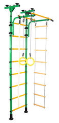 Спорткомплекс, стенка гимнастическая Junior Atlet, зелено-желтая, 245x60 см цена и информация | Шведские стенки | 220.lv