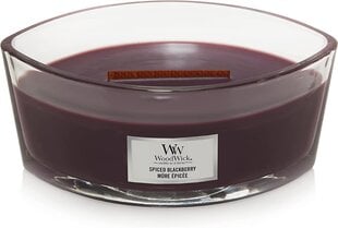 WoodWick aromātiska svece Spiced Blackberry Elipsa, 453,6 g cena un informācija | Sveces un svečturi | 220.lv