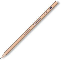 Dabīgā koka zīmulis STAEDTLER Eco, noasināts, HB цена и информация | Письменные принадлежности | 220.lv