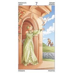 Taro Kortos Tarot Of The 78 Doors. цена и информация | Эзотерика | 220.lv