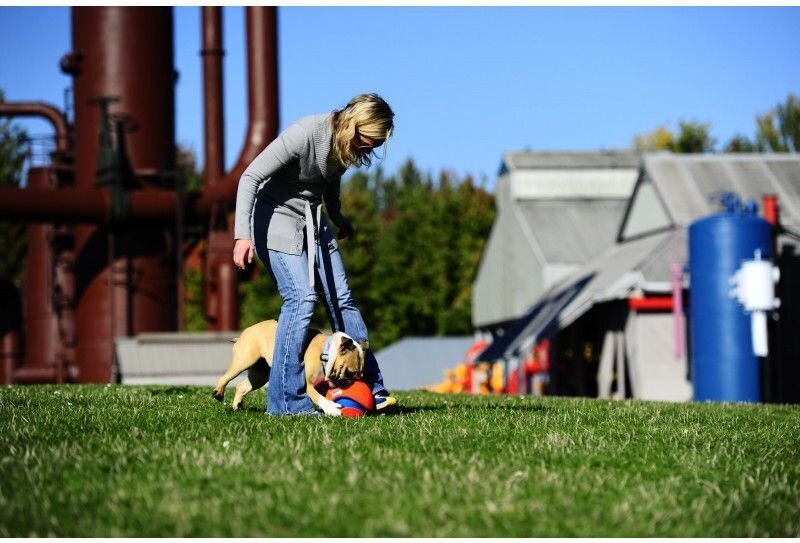 Chuckit rotaļlieta sunim bumba Kick Fetch S cena un informācija | Suņu rotaļlietas | 220.lv