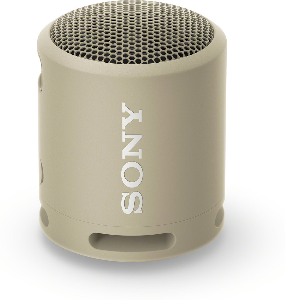 Sony SRSXB13C.CE7, pelēks cena un informācija | Skaļruņi | 220.lv