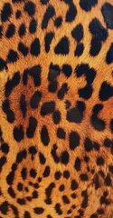 Aizsargplēves Evelatus    Universal    Leopard Colorful Film for Screen Cutter cena un informācija | Telefonu vāciņi, maciņi | 220.lv