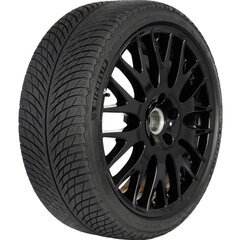 Michelin Pilot Alpin 5 285/30 R22 101W XL цена и информация | Зимняя резина | 220.lv