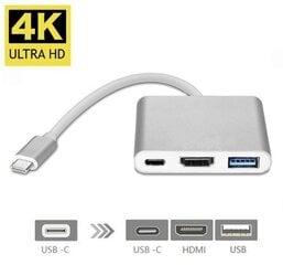 RoGer RO-AD1 (3 in 1) USB-C Multiport Adapteris / USB 3.0 / HDMI / USB-C / Sudraba cena un informācija | Adapteri un USB centrmezgli | 220.lv