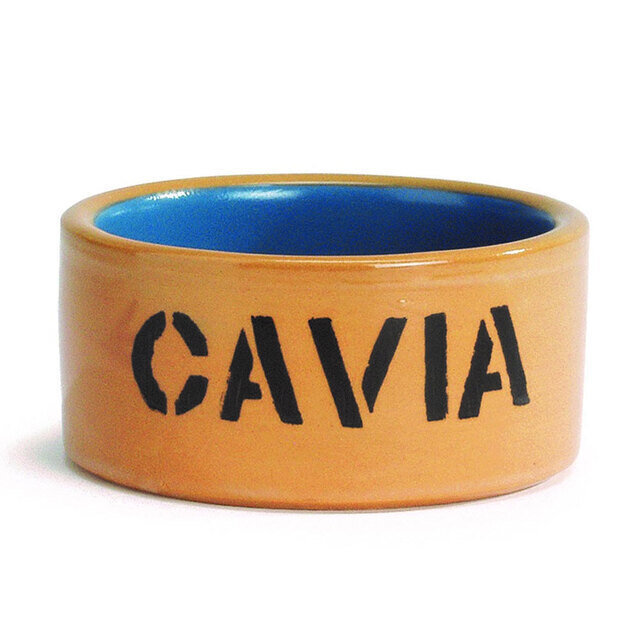 Keramikas bļoda grauzējiem Beeztees Cavia, 11,5 cm cena un informācija | Trauki, šķīvji, pusdienu servīzes | 220.lv
