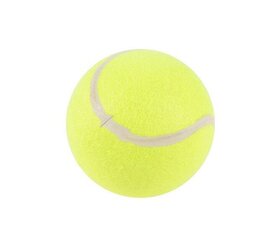 Rotaļlieta-tenisa bumba Love Story, ø15 cm cena un informācija | Rotaļlietas zēniem | 220.lv