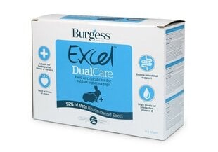 BURGESS EXCEL PAPILDBARĪBA TRUŠIEM UN JŪRASCŪCIŅĀM DUALCARE 60G N10 цена и информация | Корм для грызунов | 220.lv