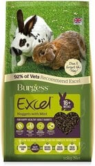 BURGESS EXCEL корм для кроликов MINT 10 кг. цена и информация | Корм для грызунов | 220.lv