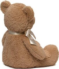 GUND Mans pirmais lācītis, rrūns, 45cm цена и информация | Мягкие игрушки | 220.lv