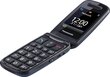 Panasonic KX-TU456EXCE Blue цена и информация | Mobilie telefoni | 220.lv