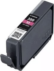 Canon 4195C001, розовый (пурпурный) цена и информация | Картриджи для струйных принтеров | 220.lv