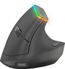 Speedlink wireless mouse Fin Ergonomic, black (SL-630025-BK) cena un informācija | Peles | 220.lv