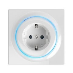 Fibaro Walli Outlet (type F) Z-Wave EU цена и информация | Безопасность дома | 220.lv