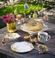 Villeroy & Boch krūžu komplekts Spring Awakening, 2 gab цена и информация | Glāzes, krūzes, karafes | 220.lv