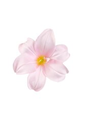 Mākslīgs lilijas zieds, 20 gab. cena un informācija | Mākslīgie ziedi | 220.lv