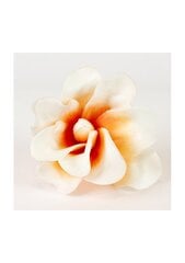 Mākslīgs magnolijas zieds cena un informācija | Mākslīgie ziedi | 220.lv