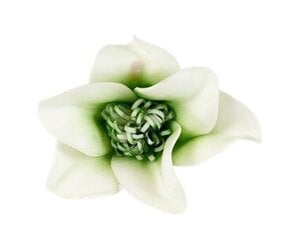 Искусственный цветок из латекса цена и информация | Искусственные цветы | 220.lv