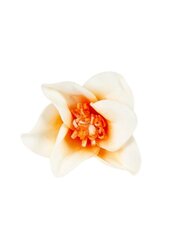 Искусственный цветок из латекса цена и информация | Искусственные цветы | 220.lv