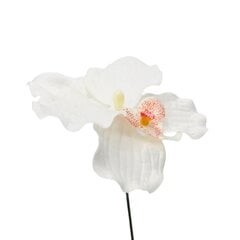 Искусственный цветок орхидеи, 12 шт. цена и информация | Искусственные цветы | 220.lv