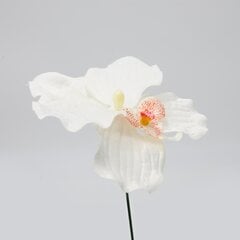 Искусственный цветок орхидеи, 12 шт. цена и информация | Искусственные цветы | 220.lv