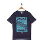 Vīriešu T-krekls ar īsām piedurknēm Jack&Jones cena un informācija | Vīriešu T-krekli | 220.lv