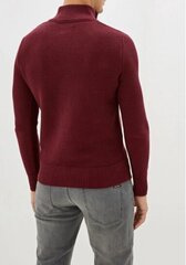 Džemperis vīriešiem Tom Tailor cena un informācija | Vīriešu džemperi | 220.lv