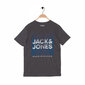 Vīriešu T-krekls ar īsām piedurknēm Jack&Jones cena un informācija | Vīriešu T-krekli | 220.lv