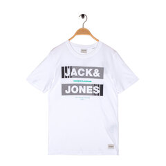 Vīriešu T-krekls ar īsām piedurknēm Jack&Jones цена и информация | Мужские футболки | 220.lv