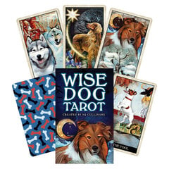 Taro kārtis Wise Dog cena un informācija | Ezotērika | 220.lv