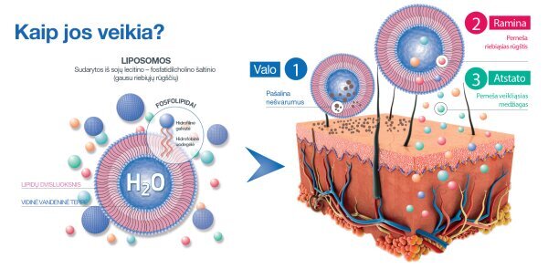 Liposomas tīrīšanas līdzeklis Sesderma Sensyses, 200 ml цена и информация | Sejas ādas kopšana | 220.lv