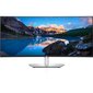 Dell UltraSharp U4021QW (210-AYJF), 40" cena un informācija | Monitori | 220.lv