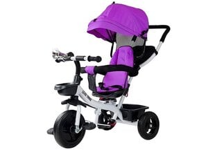 Bērnu trīsritenis ar jumtu Lean Trike PRO300 violets цена и информация | Трехколесные велосипеды | 220.lv