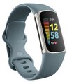 Fitbit Charge 5 Steel Blue/Platinum FB421SRBU