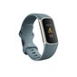 Fitbit Charge 5 Steel Blue/Platinum FB421SRBU cena un informācija | Fitnesa aproces | 220.lv