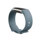 Fitbit Charge 5 Steel Blue/Platinum FB421SRBU цена и информация | Fitnesa aproces | 220.lv